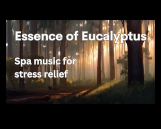 Zen Zephyr: Αγκαλιάζοντας την ηρεμία στις εξωτερικές σας δραστηριότητες