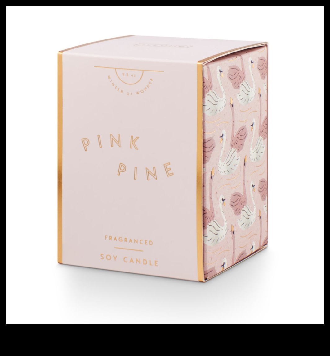 Gifted Wonders: Αποκαλύπτοντας εξαιρετικές ιδέες