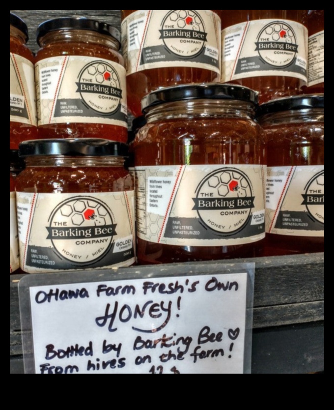 Νέκταρ γειτονιάς: Απολαμβάνοντας τη γλύκα των τοπικών πολύτιμων λίθων