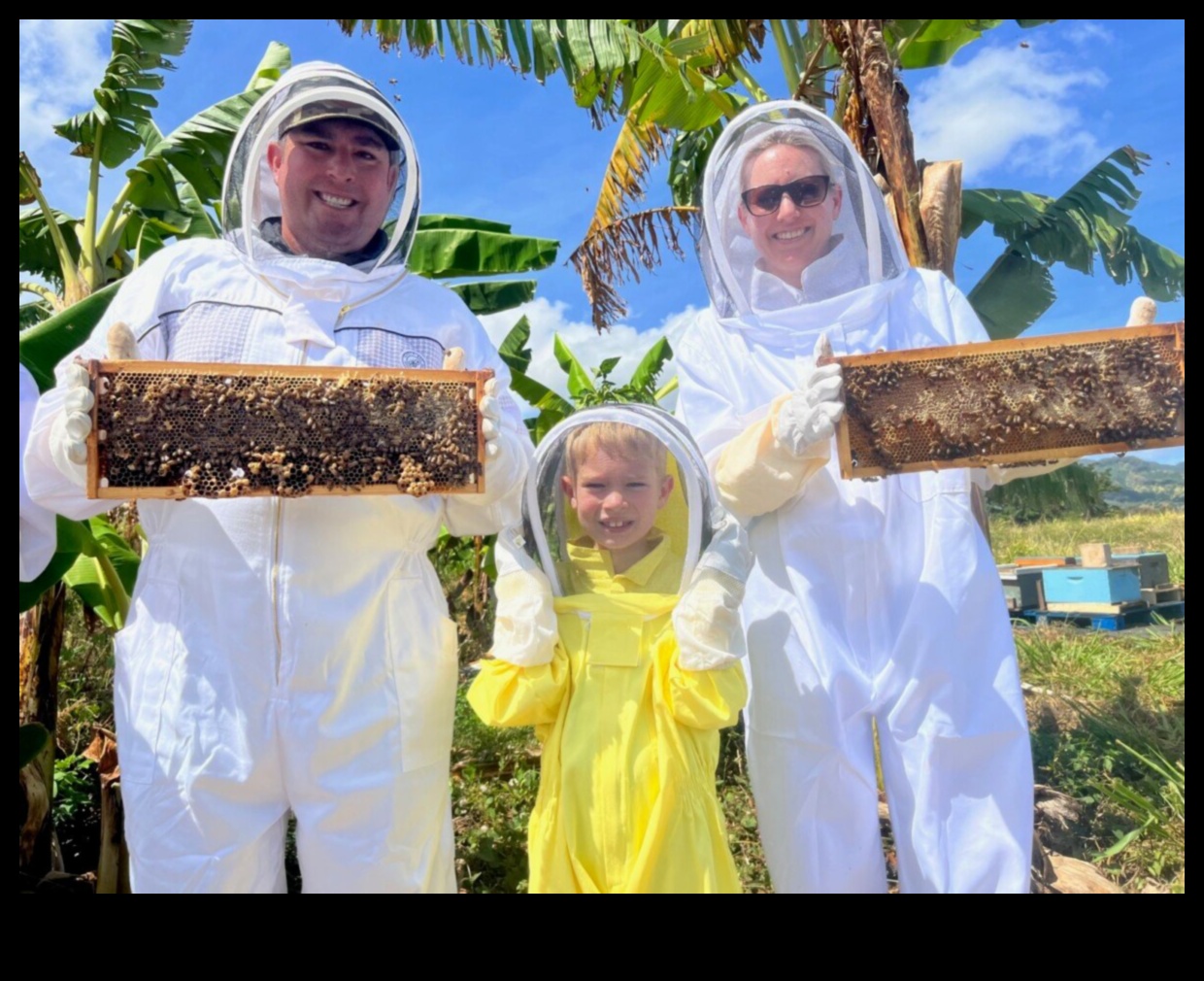 Νέκταρ γειτονιάς: Απολαμβάνοντας τη γλύκα των τοπικών πολύτιμων λίθων