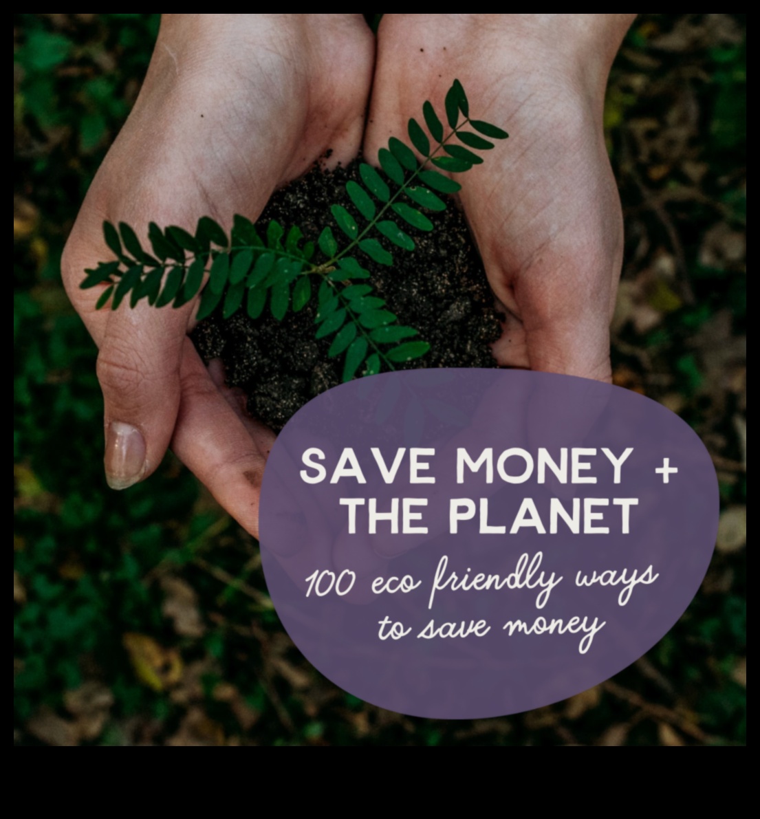 Furgal Footprints: Leaving Marks on a Budget