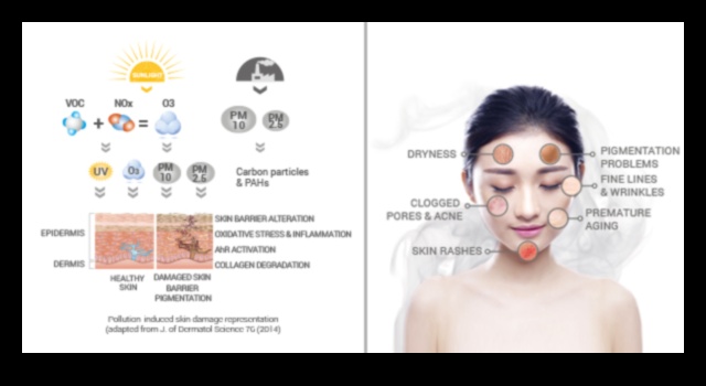 Ο αντίκτυπος της ρύπανσης στο δέρμα σας: θωράκιση κατά των περιβαλλοντικών στρεσογόνων παραγόντων