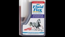 Fluid Flex: Ένας ολοκληρωμένος οδηγός για να καλλιεργήσετε το φυσικό σας εύρος κίνησης