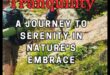Trail Tranquility: Finding Peace in the Outdoor Wilderness