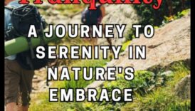 Trail Tranquility: Finding Peace in the Outdoor Wilderness