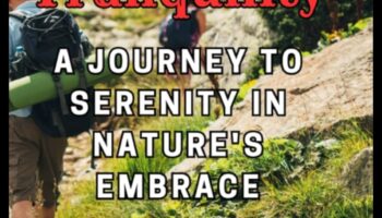 Trail Tranquility: Finding Peace in the Outdoor Wilderness