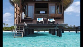 Καταφύγιο Shangri-La: Δημιουργώντας την τέλεια διαμονή σας